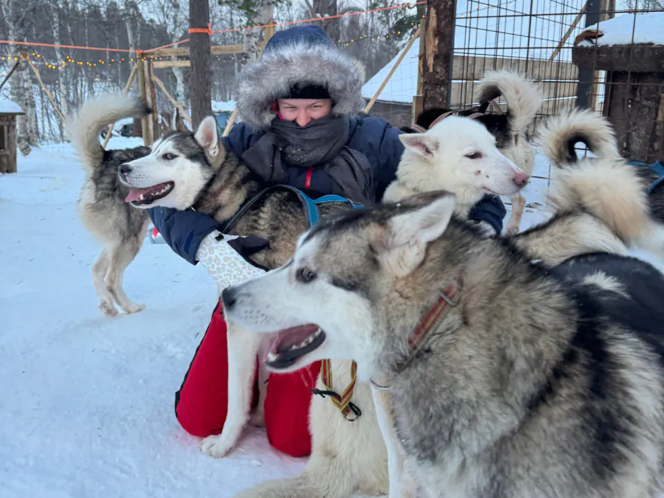Dog sledding team racing through Arctic terrain near Sulitjelma