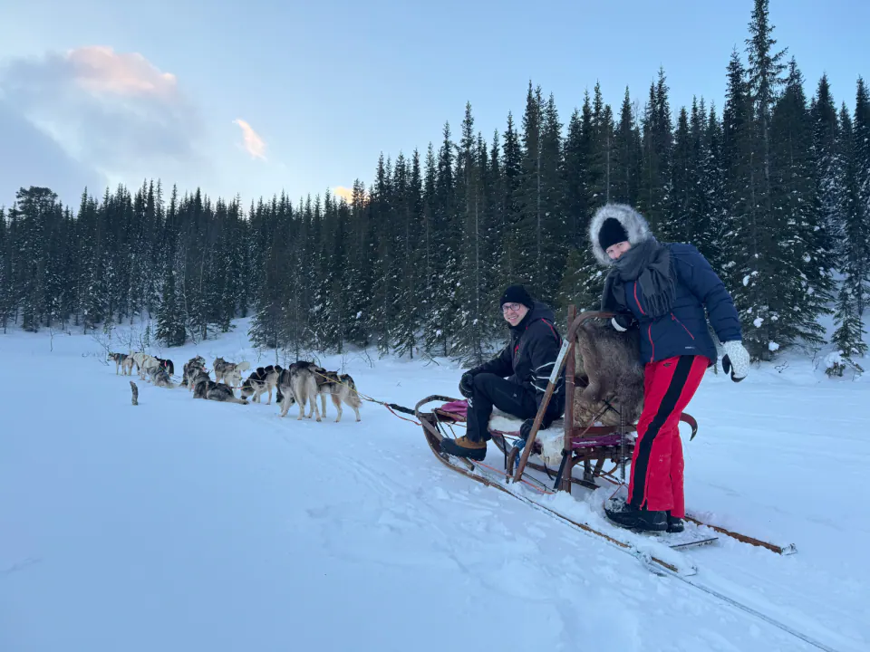 Dog Sledding 3